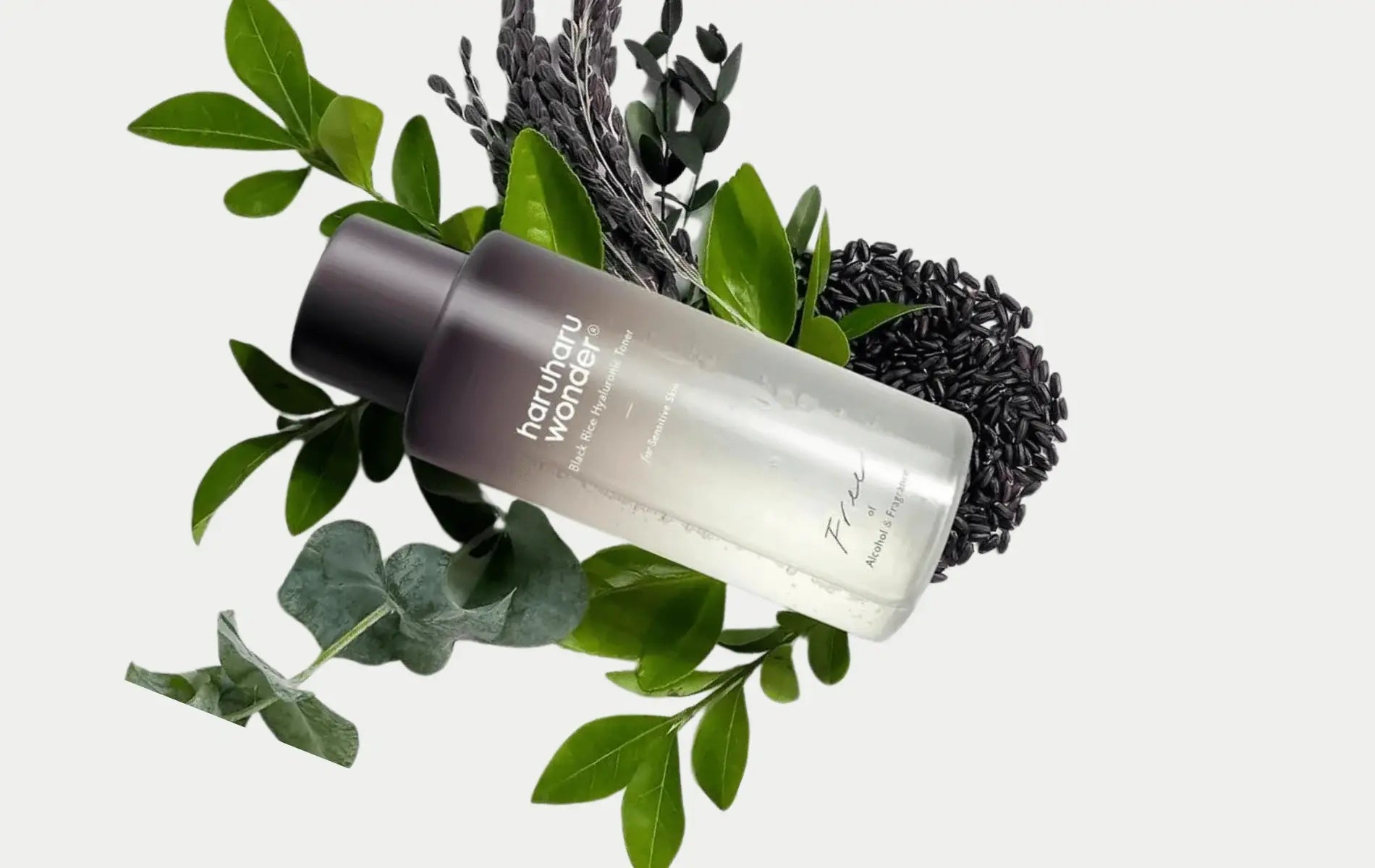 Shop Haruharu Wonder Skincare – Best-Selling Korean Toners & Creams in UAE
